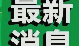 热点爆料最新消息今天,揭秘最新爆料背后的惊人真相