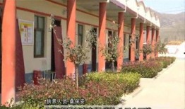 安阳爆料新闻最新消息今天,最新爆料揭示惊人真相，事件进展追踪