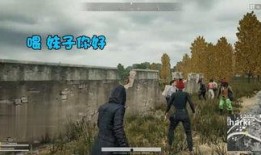 羊村最新爆料事件,揭秘最新爆料事件背后的真相